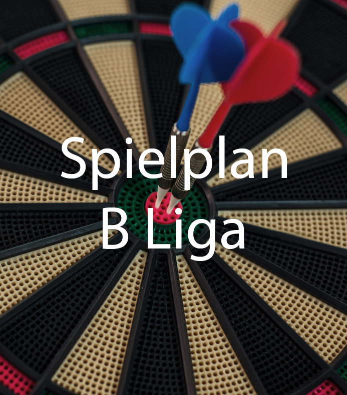 B1 Liga
