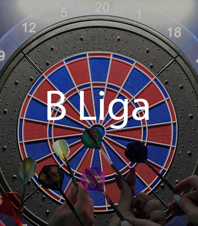 Einzelspieler B1 Liga